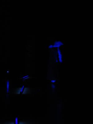 IMG_8136.JPG